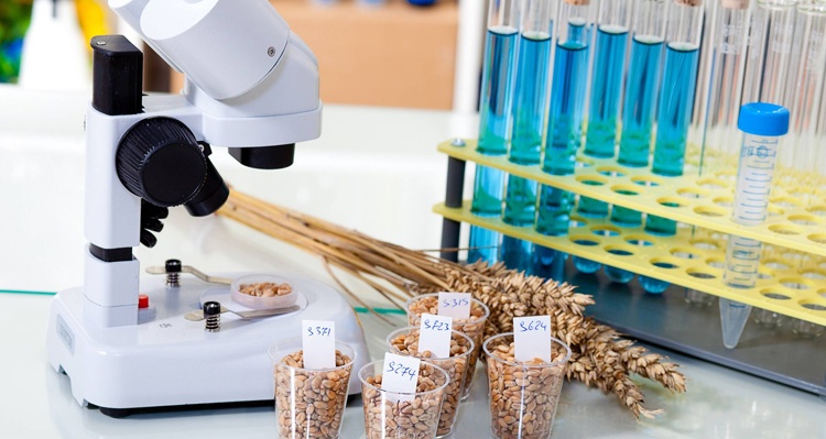 Dự thảo Nghị định 15 (sửa đổi): Doanh nghiệp lo tăng thủ tục, chi phí