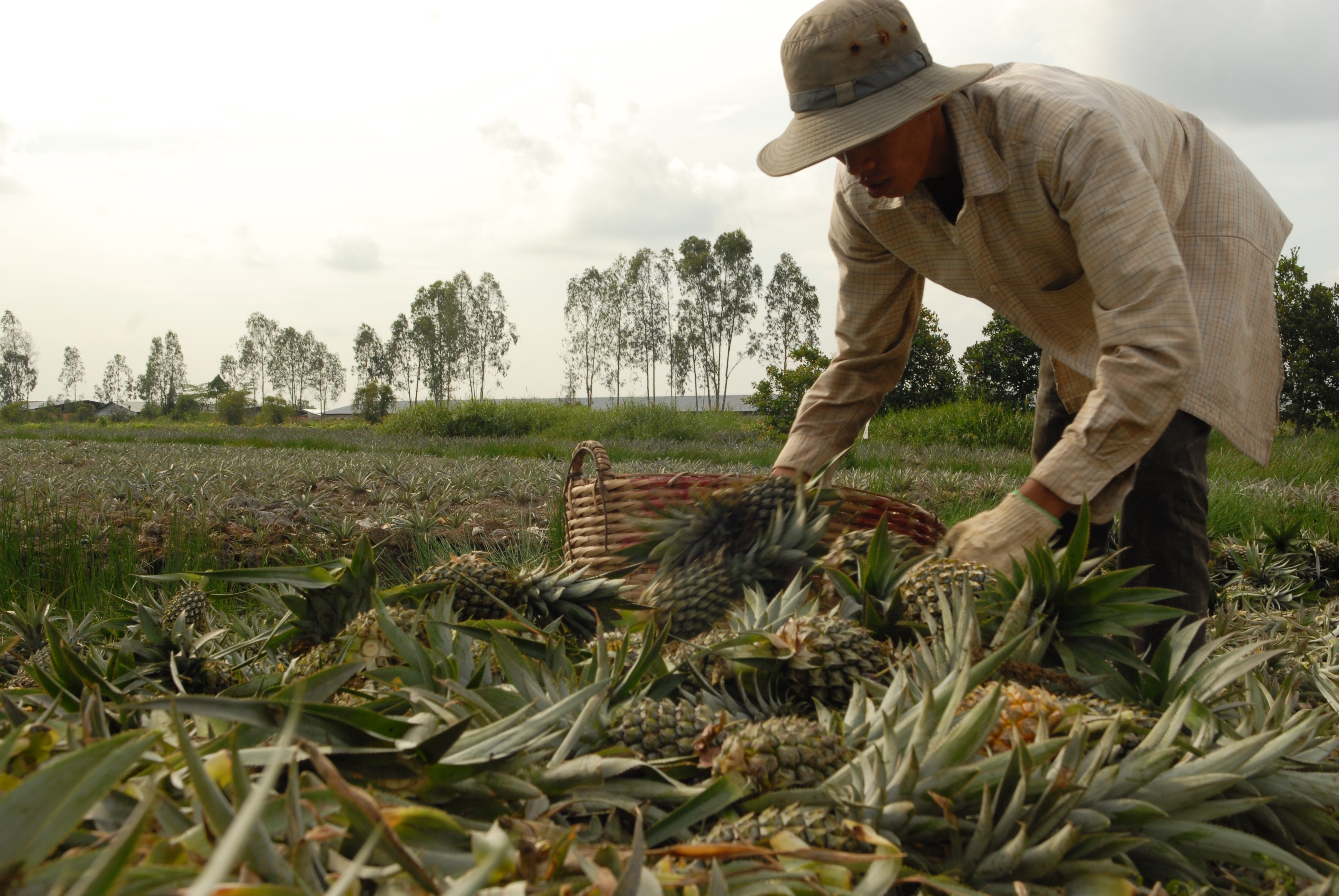 Bốn nhóm rào cản “kìm hãm” dòng vốn đầu tư vào Đồng bằng sông Cửu Long
