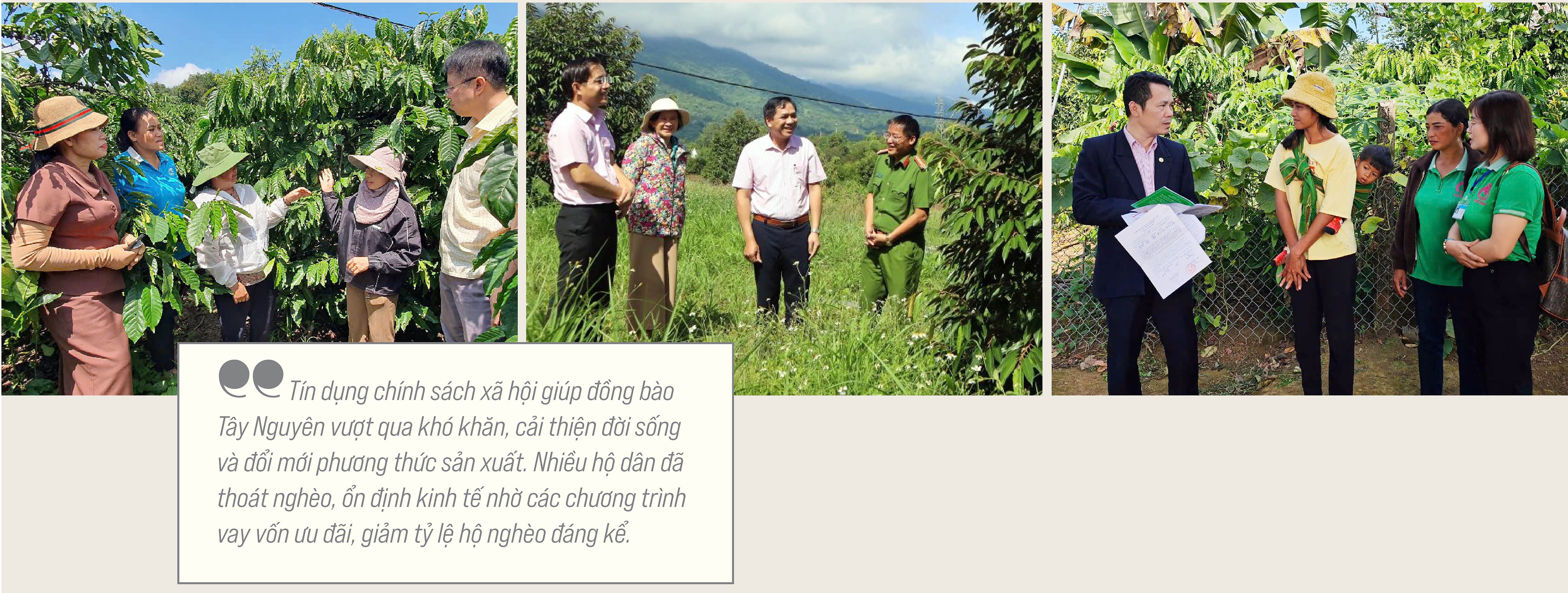 Dòng chảy tín dụng chính sách giữa đại ngàn Tây Nguyên Dòng chảy tín dụng chính sách giữa đại ngàn Tây Nguyên