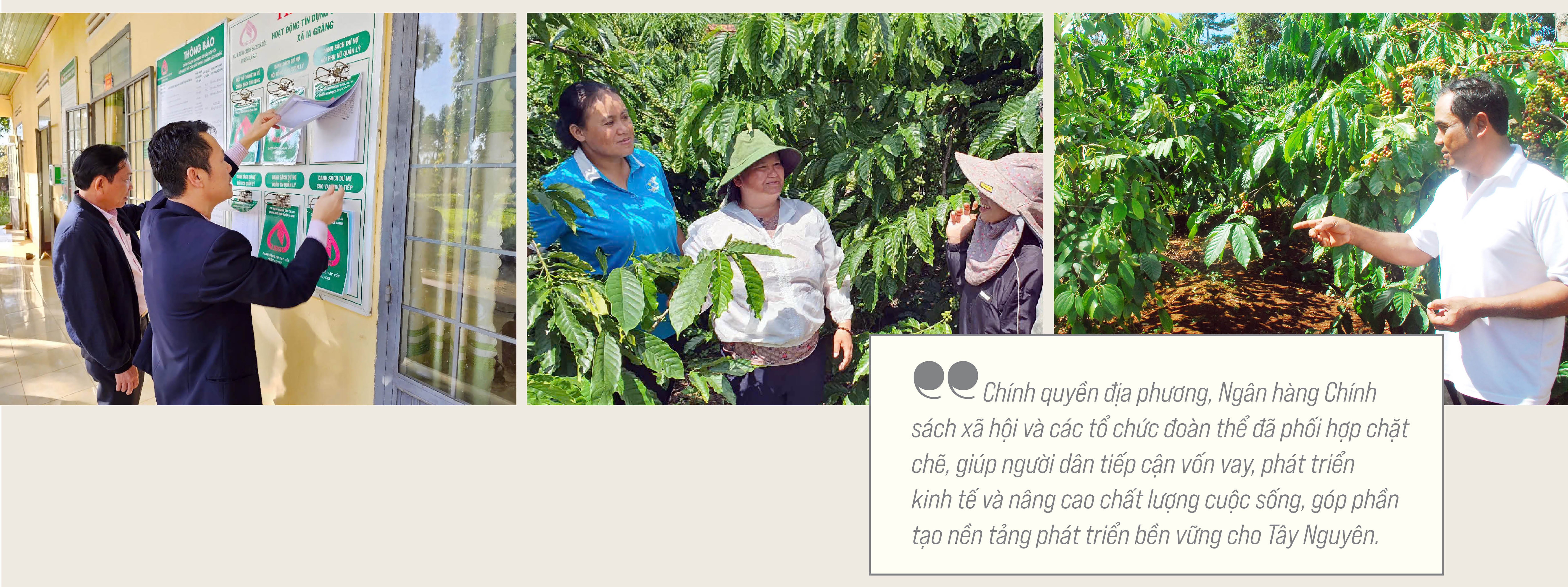 Dòng chảy tín dụng chính sách giữa đại ngàn Tây Nguyên Dòng chảy tín dụng chính sách giữa đại ngàn Tây Nguyên