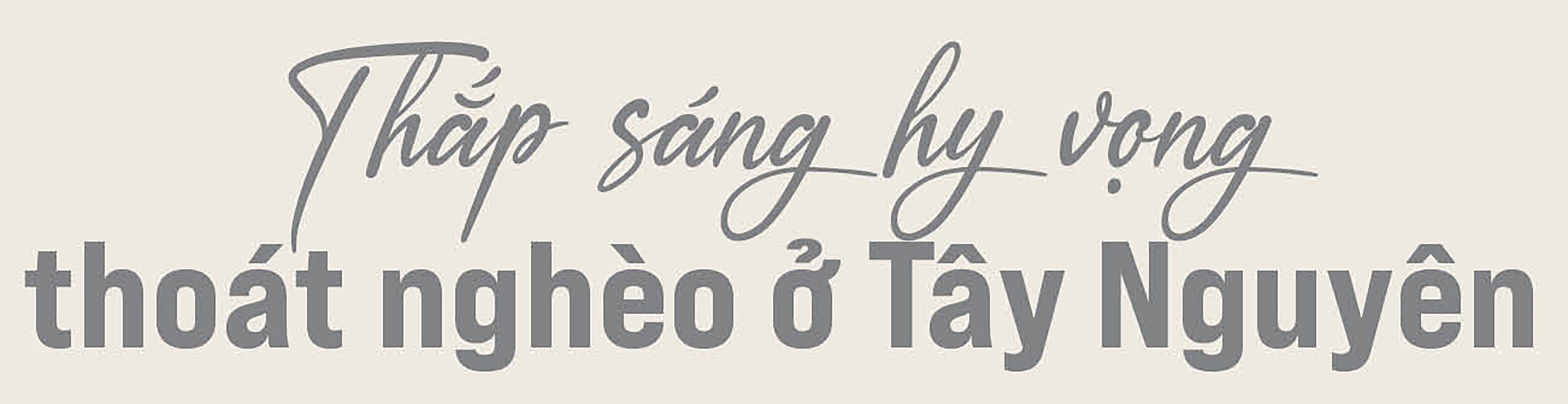 Dòng chảy tín dụng chính sách giữa đại ngàn Tây Nguyên Dòng chảy tín dụng chính sách giữa đại ngàn Tây Nguyên