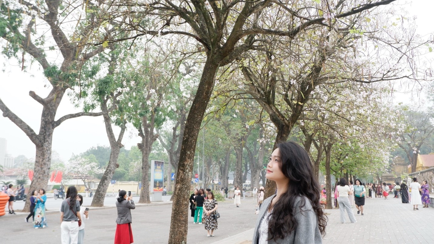 Nhiều bạn trẻ tranh thủ chụp hình lưu giữ kỷ niệm trước khi mùa hoa tàn 