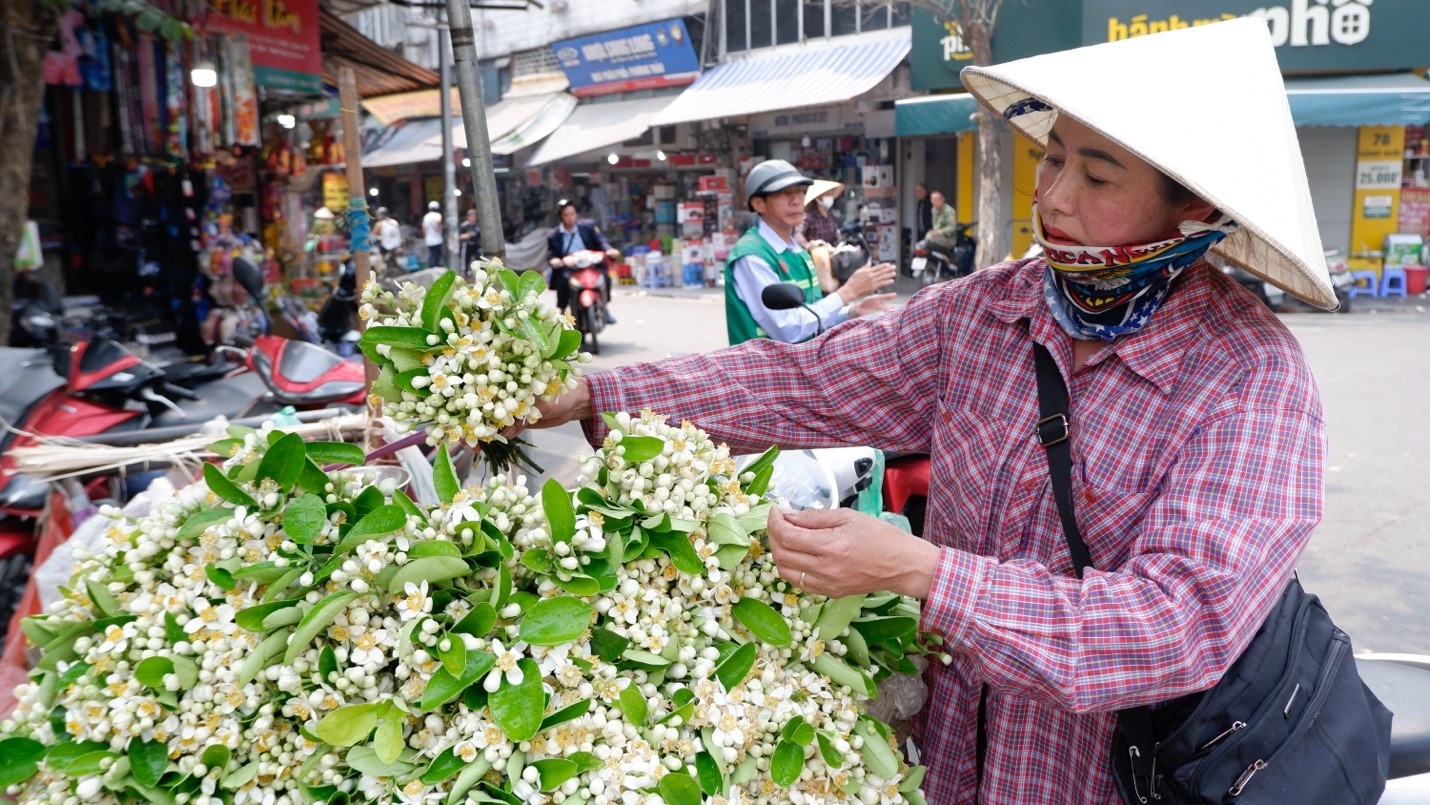 Hà Nội: Mùa hoa về dịu dàng từng góc phố