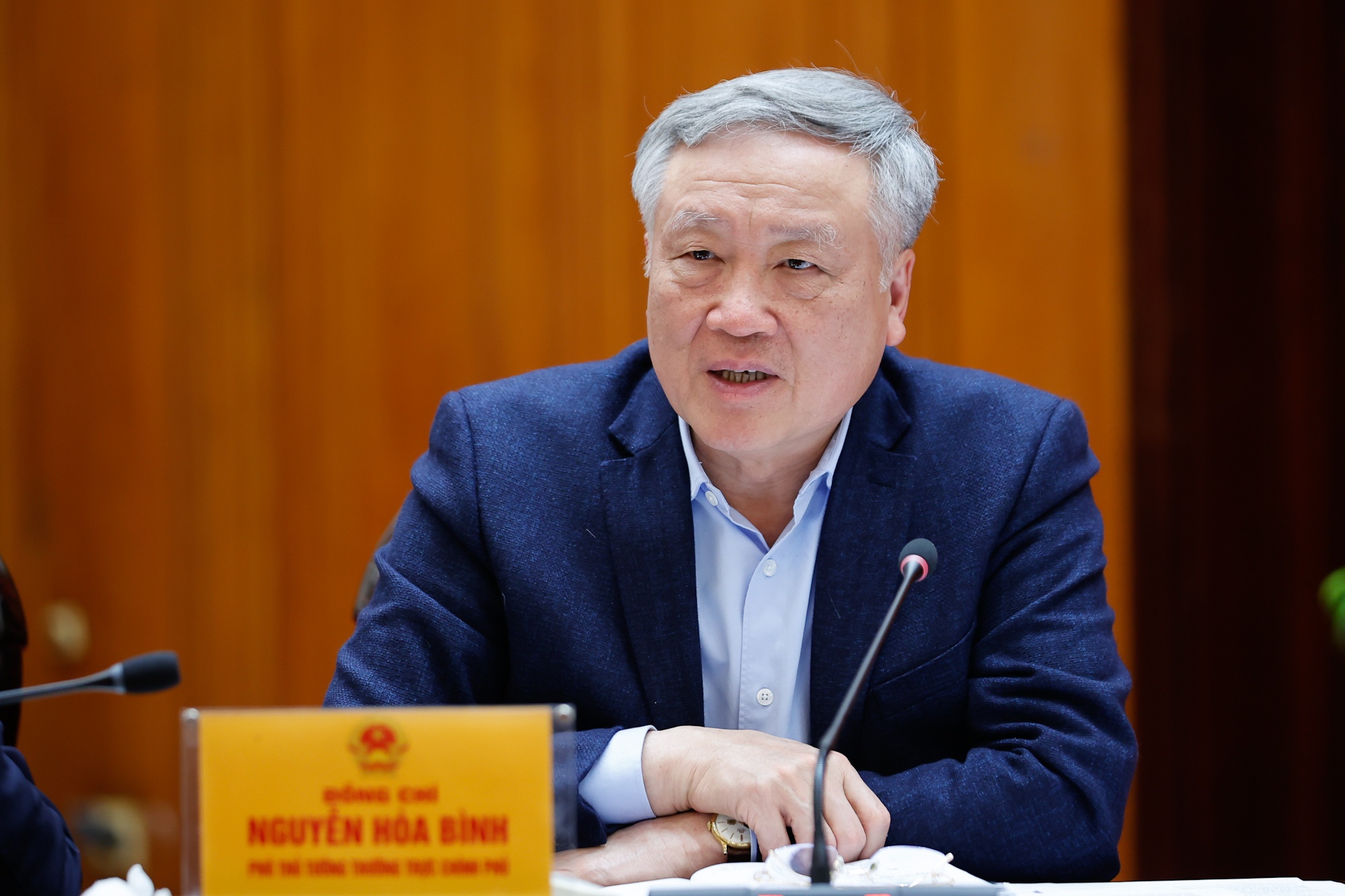 Phó Thủ tướng Thường trực Chính phủ Nguyễn Hòa Bình phát biểu tại cuộc họp - Ảnh: VGP/Nhật Bắc