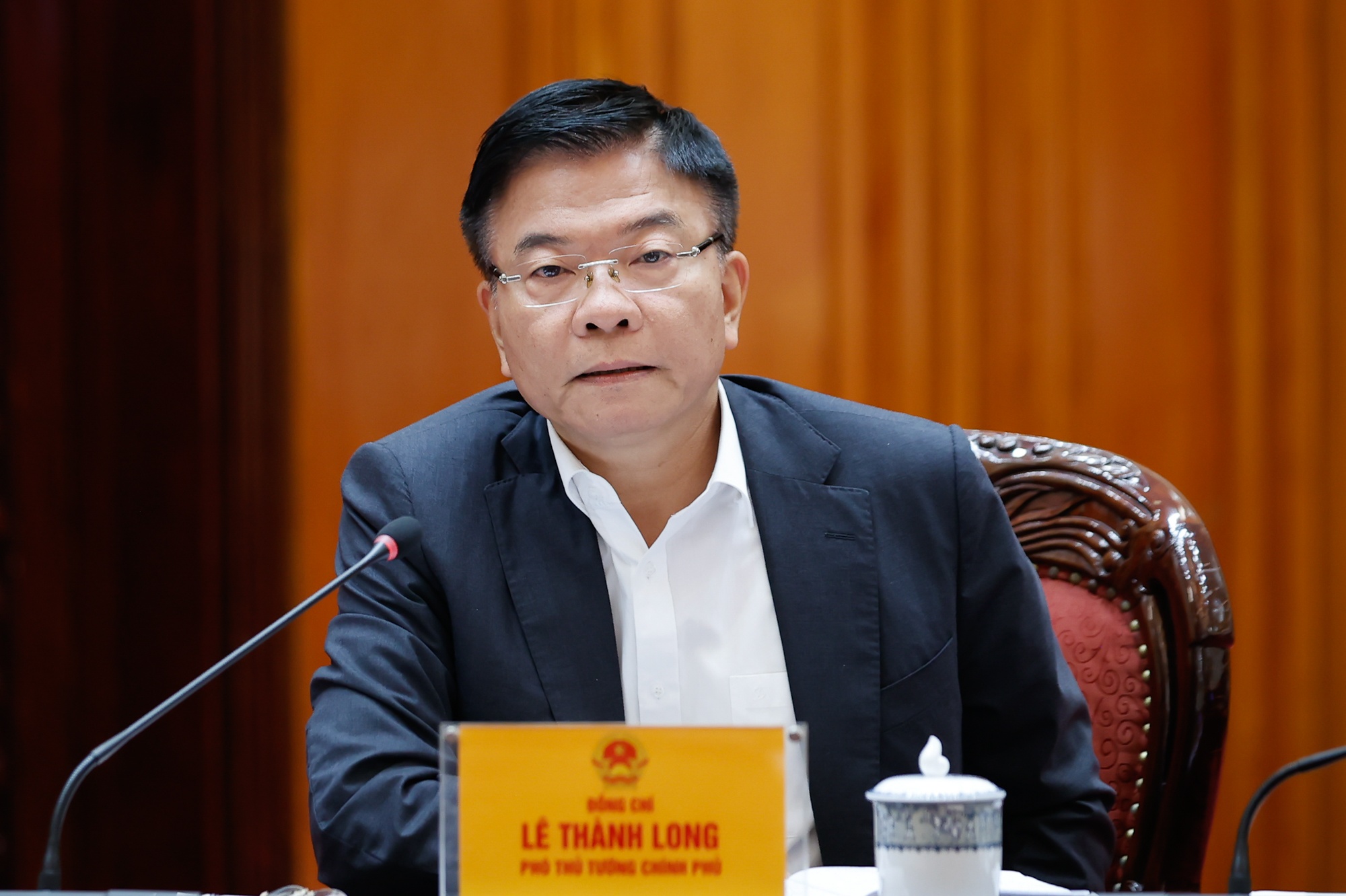 Phó Thủ tướng Lê Thành Long phát biểu tại cuộc họp - Ảnh: VGP/Nhật Bắc