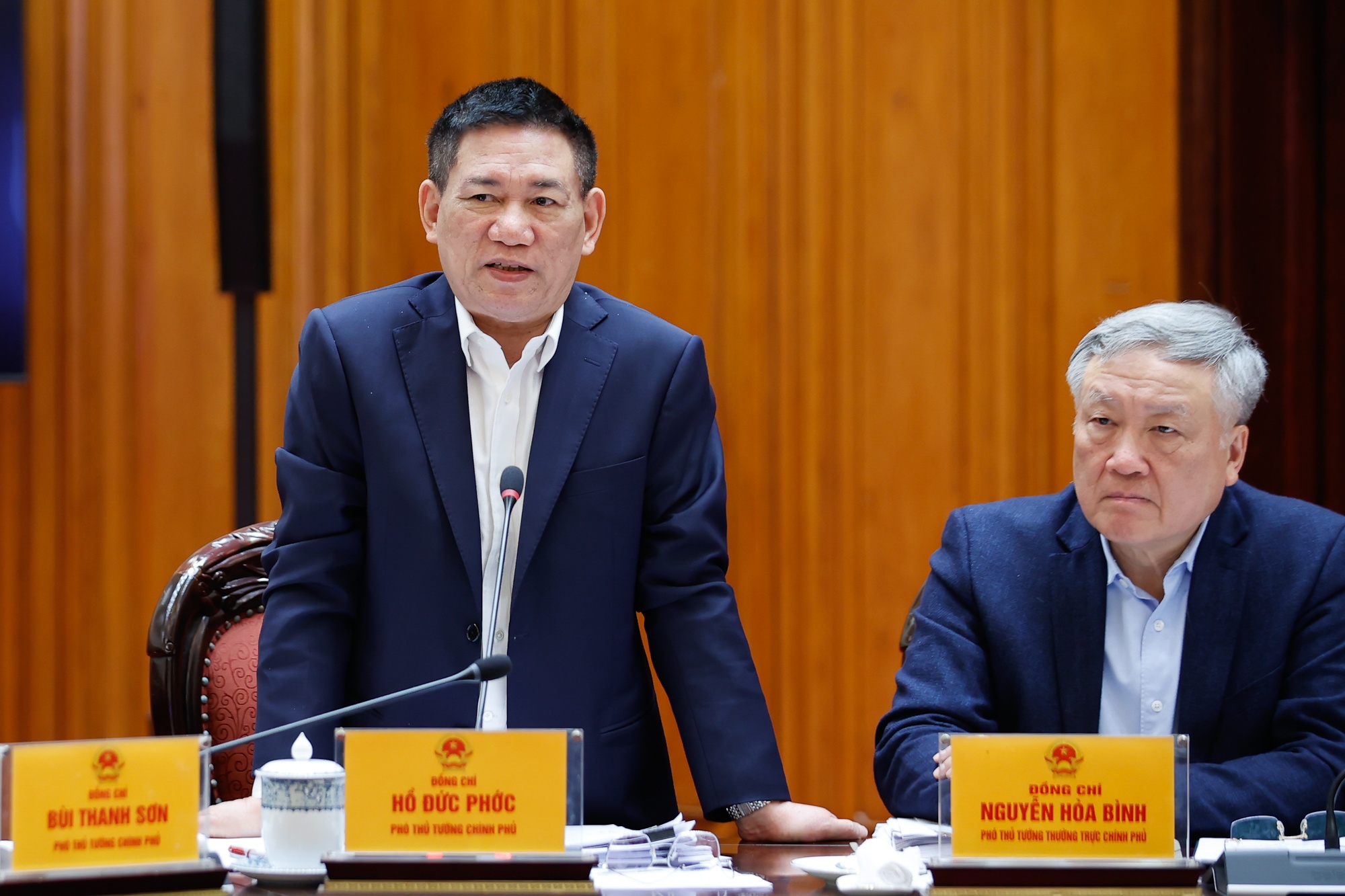 Phó Thủ tướng Hồ Đức Phớc phát biểu tại cuộc họp - Ảnh: VGP/Nhật Bắc