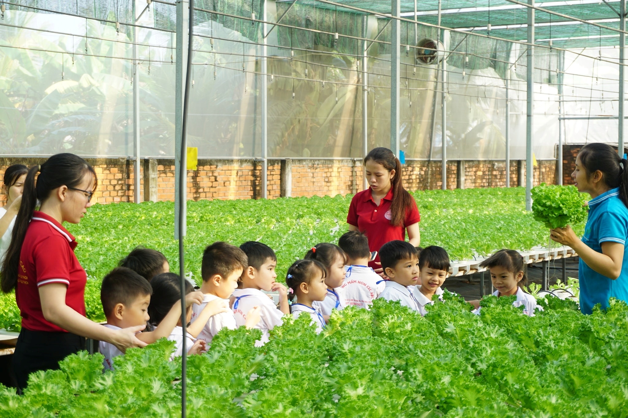 Mô hình nông nghiệp sinh thái của Hợp tác xã Tuấn Ngọc (TP.HCM)