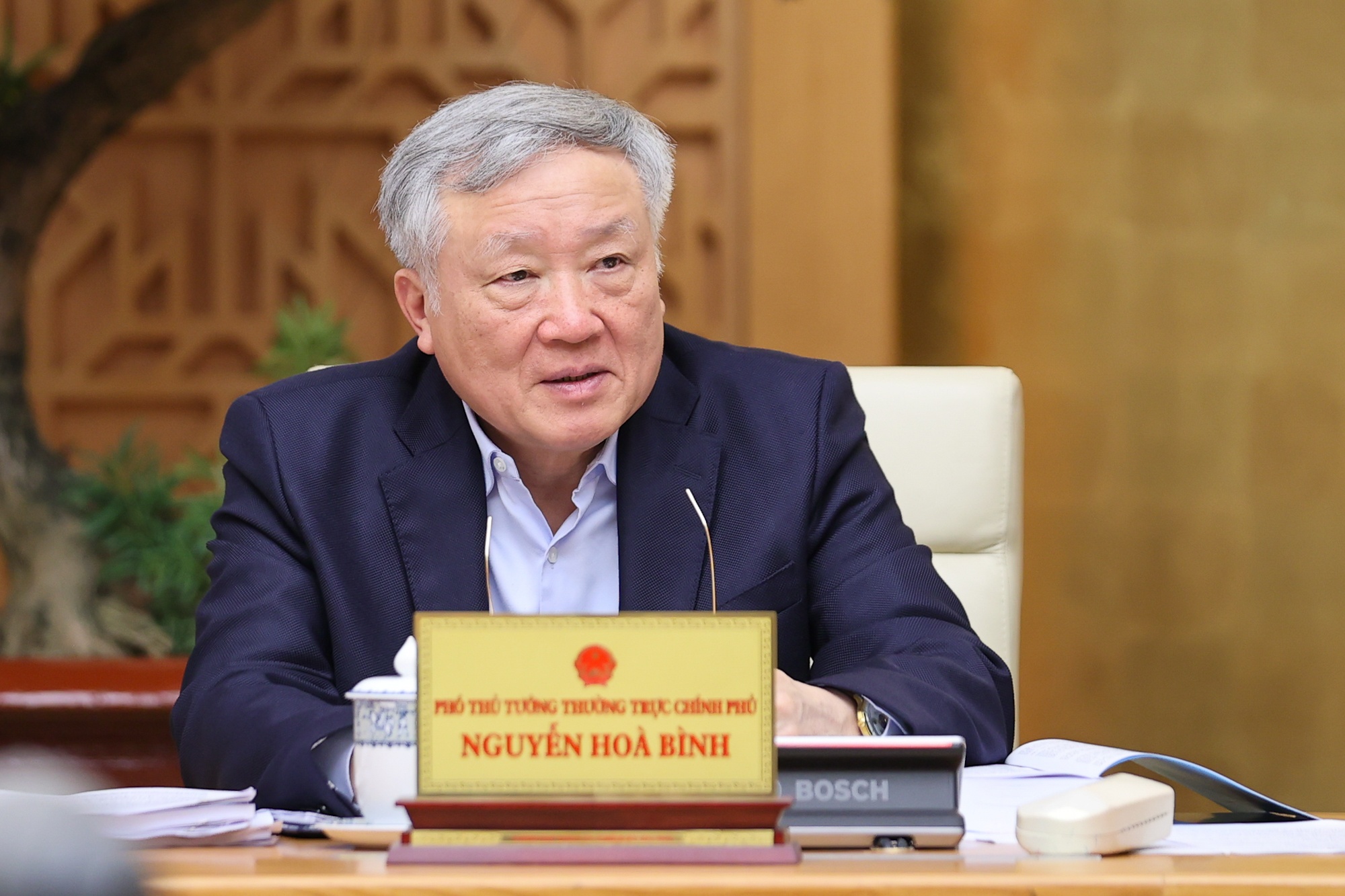 Phó Thủ tướng Thường trực Chính phủ Nguyễn Hòa Bình phát biểu - Ảnh: VGP/Nhật Bắc