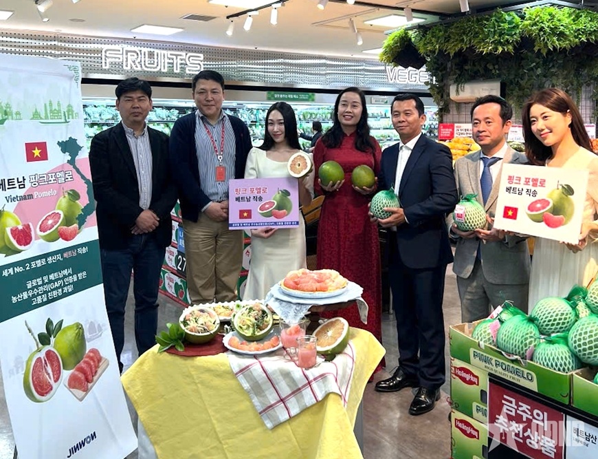Đại diện Lotte Mart đánh giá cao tiềm năng của trái bưởi Việt Nam nhờ hương vị ngọt thanh, hàm lượng vitamin C cao và phù hợp với khẩu vị người tiêu dùng Hàn Quốc