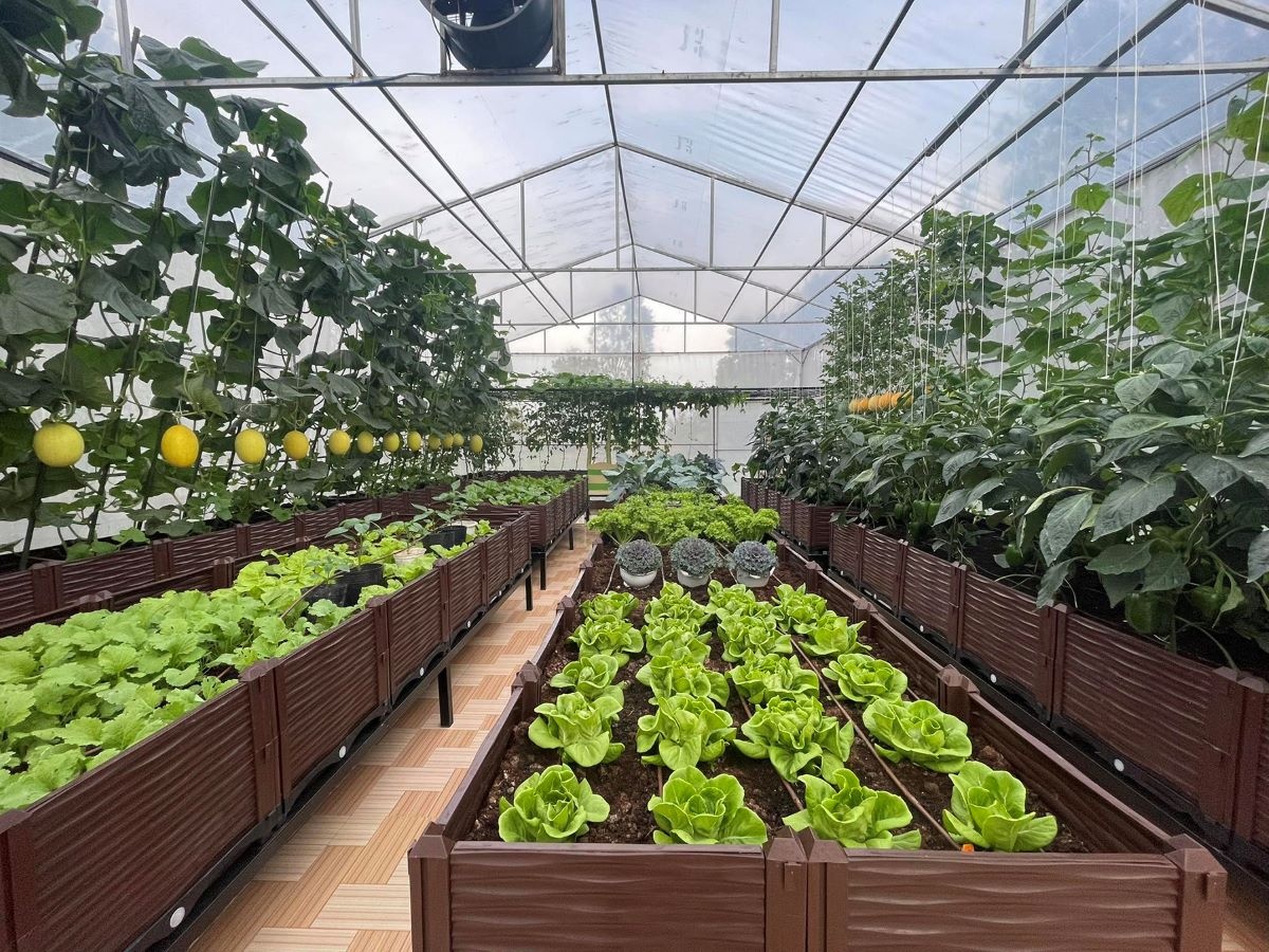 Đẩy mạnh chuyển đổi xanh để phát triển bền vững