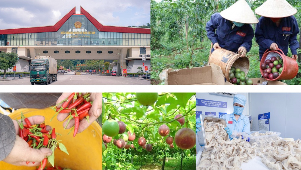 Ớt, chanh leo, tổ yến của Việt Nam sẽ được xuất khẩu chính ngạch sang Trung Quốc Ớt, chanh leo, tổ yến của Việt Nam sẽ được xuất khẩu chính ngạch sang Trung Quốc