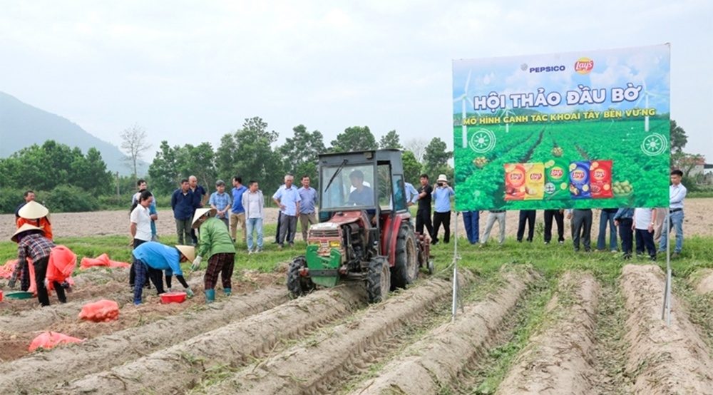 Các đại biểu tham quan mô hình trồng khoai tây FL2215 tại 