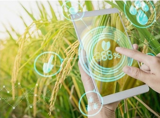 Xanh hóa để phát triển bền vững