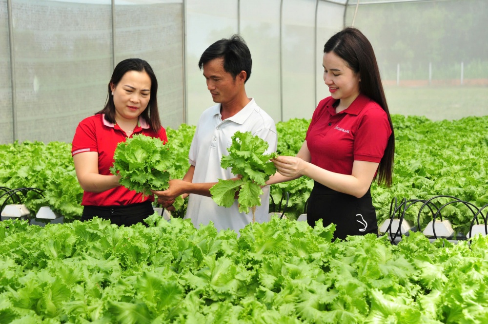 Nguồn vốn Agribank thúc đẩy kinh tế tư nhân phát huy vai trò trụ cột nền kinh tế Nguồn vốn Agribank thúc đẩy kinh tế tư nhân phát huy vai trò trụ cột nền kinh tế