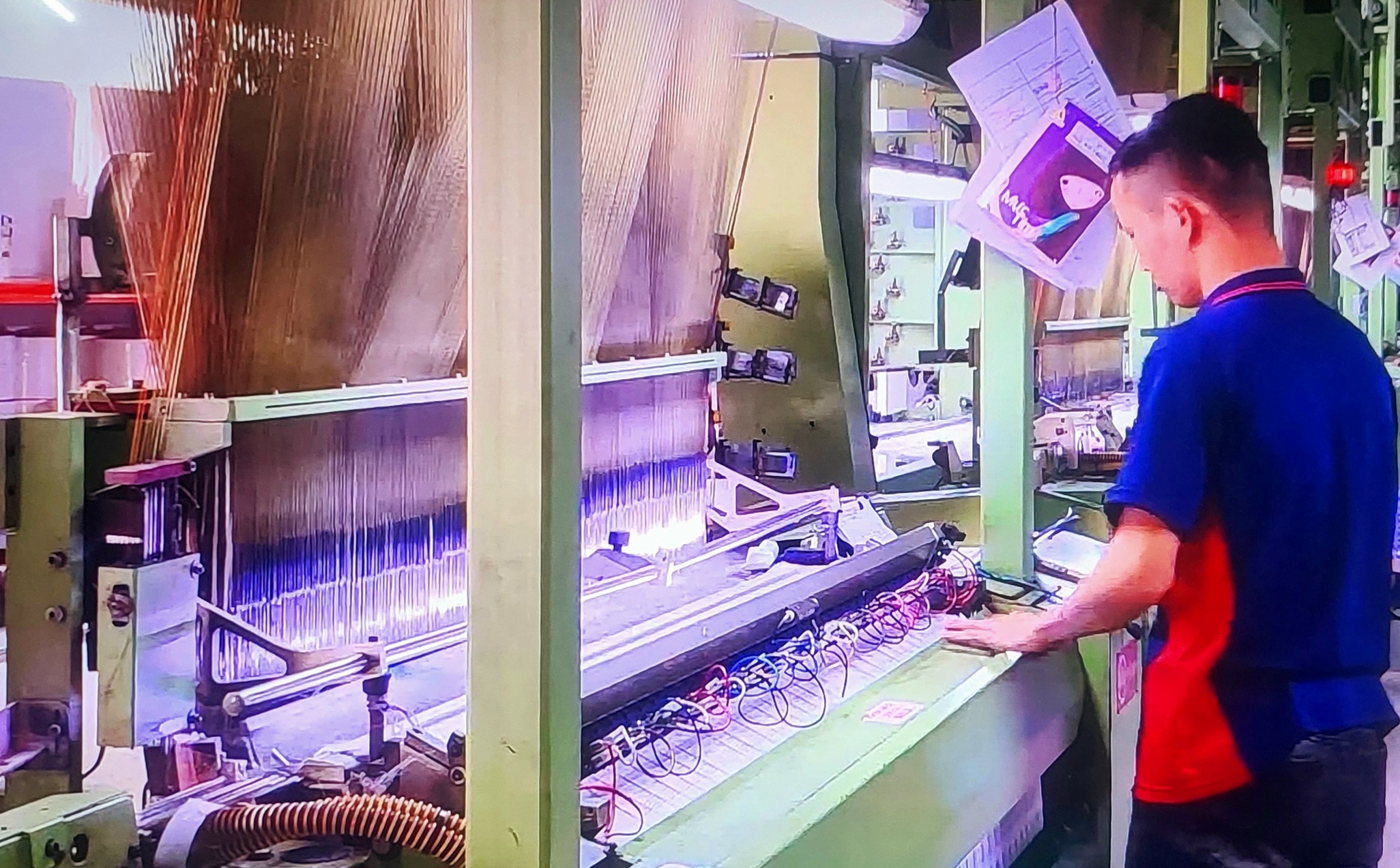 đang chủ động chuyển hướng sản xuất theo hướng xanh và minh bạch hơn. 