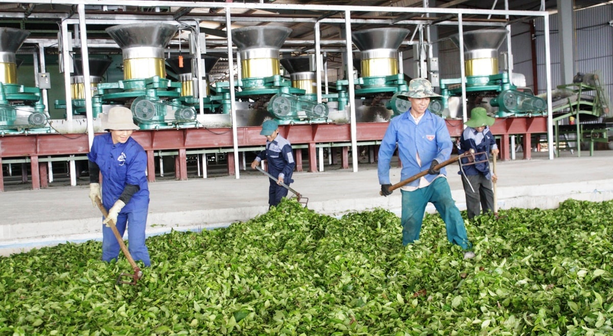 Phát triển nông nghiệp xanh, bền vững không chỉ là xu thế tất yếu mà còn là yêu cầu cấp thiết nhằm đảm bảo sinh kế lâu dài cho nông dân