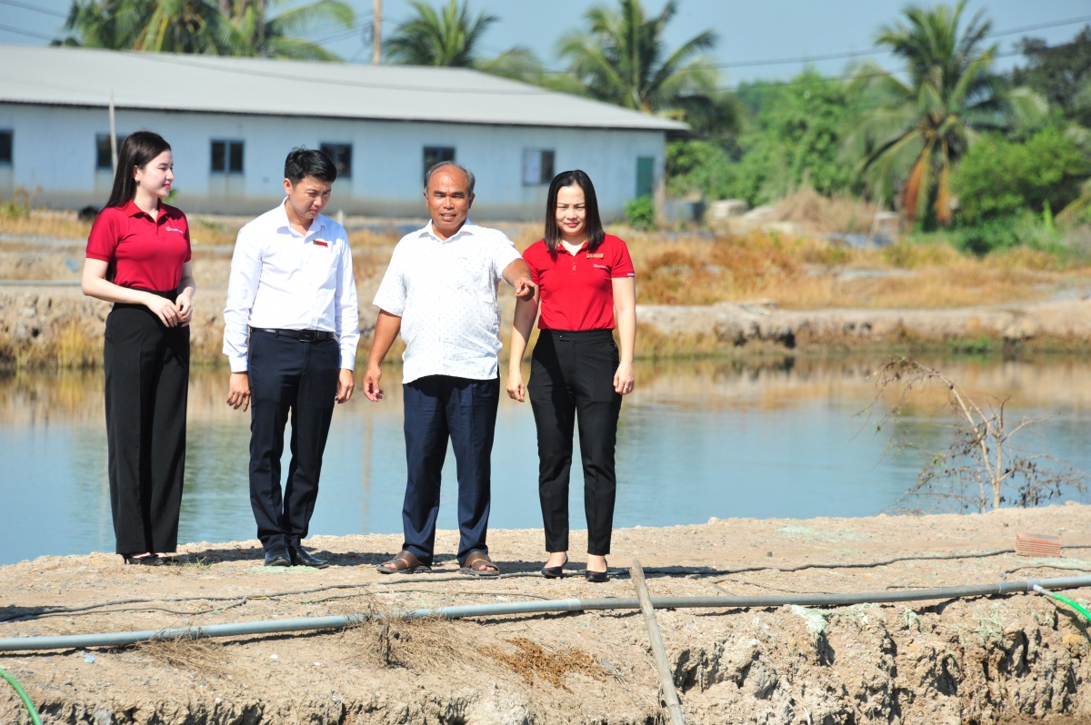 Nâng quy mô chương trình tín dụng cho lĩnh vực nông, lâm, thủy sản lên 185.000 tỷ đồng