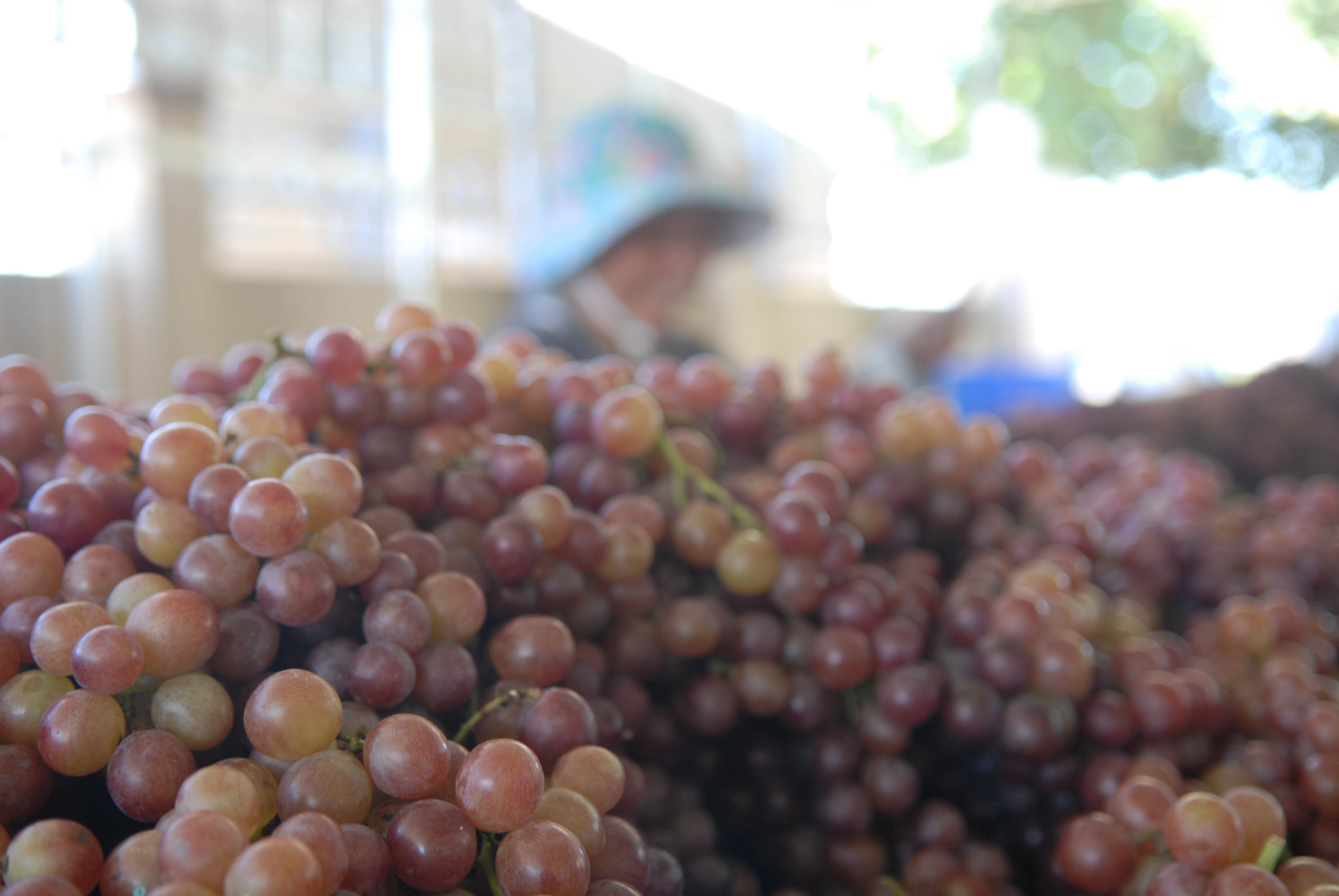 Hộ gia đình sản xuất kinh doanh có nhiều ưu đãi tiếp cận vốn tín dụng khi Nghị quyết 68 được cụ thể hóa - Ảnh: Đình Hải Hộ gia đình sản xuất kinh doanh có nhiều ưu đãi tiếp cận vốn tín dụng khi Nghị quyết 68 được cụ thể hóa - Ảnh: Đình Hải