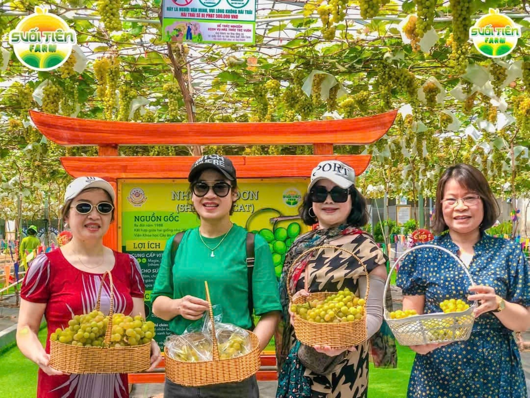 Người dân TP. Hồ Chí Minh hào hứng với trái cây, nông sản tại Ngày hội nông sản 2025 tại Suối Tiên