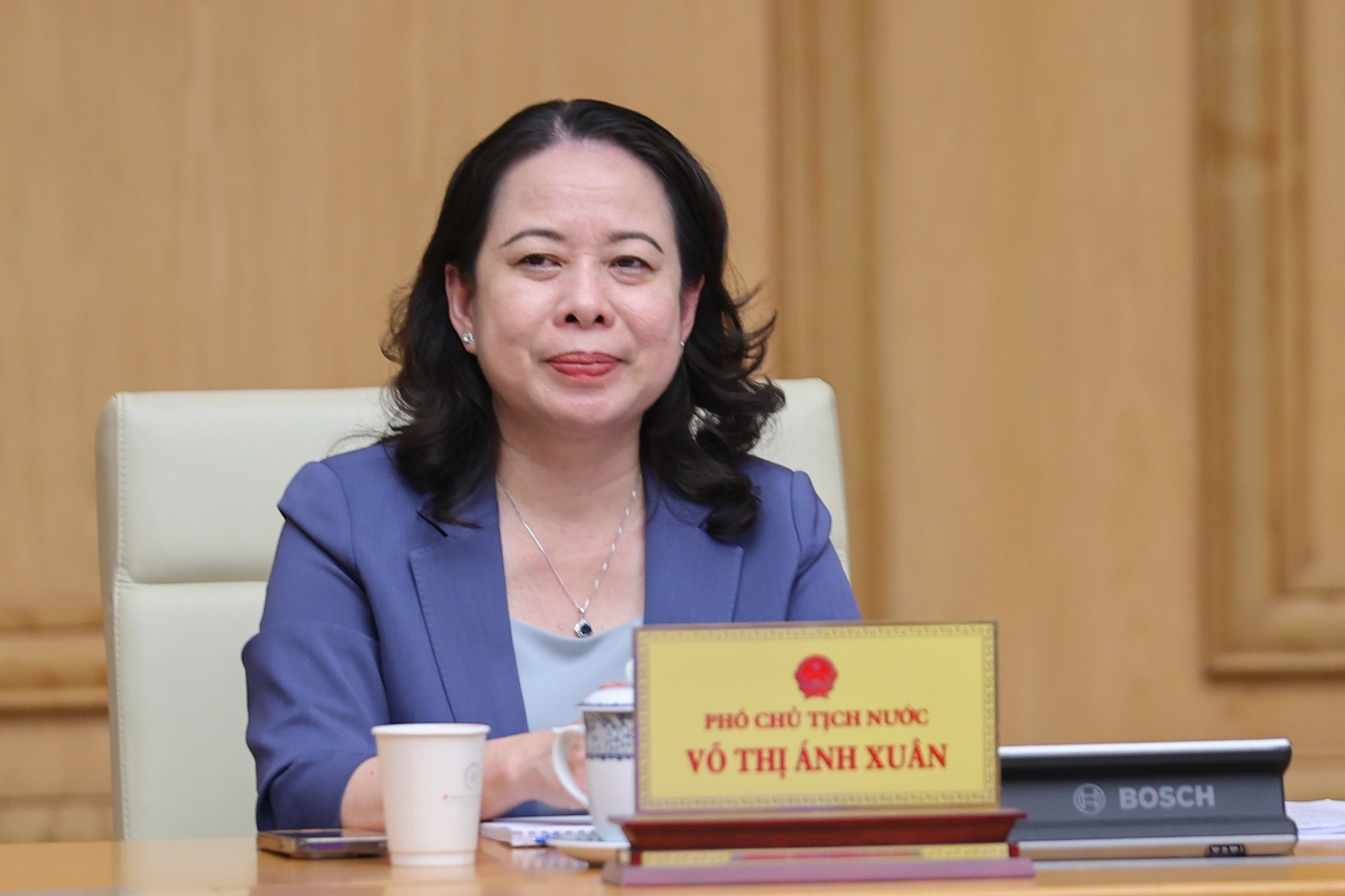 Phó Chủ tịch nước Võ Thị Ánh Xuân phát biểu tại phiên họp - Ảnh: VGP/Nhật Bắc Phó Chủ tịch nước Võ Thị Ánh Xuân phát biểu tại phiên họp - Ảnh: VGP/Nhật Bắc