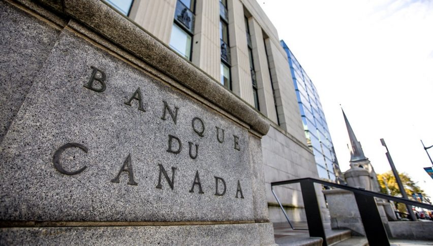 BoC giữ nguyên lãi suất và để ngỏ khả năng cắt giảm trong thời gian tới