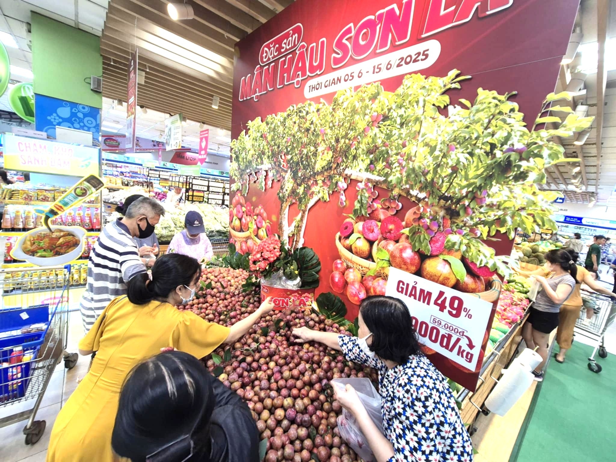 Người tiêu dùng TP. Hồ Chí Minh hào hứng lựa chọn mận hậu đặc sản Sơn La tại Co.opmart Lý Thường Kiệt Người tiêu dùng TP. Hồ Chí Minh hào hứng lựa chọn mận hậu đặc sản Sơn La tại Co.opmart Lý Thường Kiệt