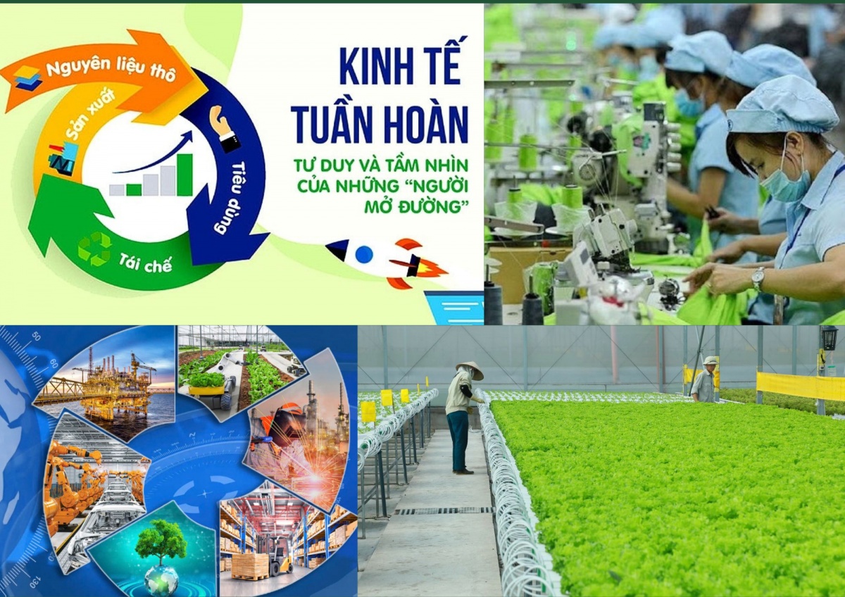nhiều mô hình kinh tế tuần hoàn đã bước đầu được triển khai tại Việt Nam. Trong nông nghiệp, mô hình VAC, VACR hay nông - lâm kết hợp giúp tối ưu hóa tài nguyên đất, nước và chất thải