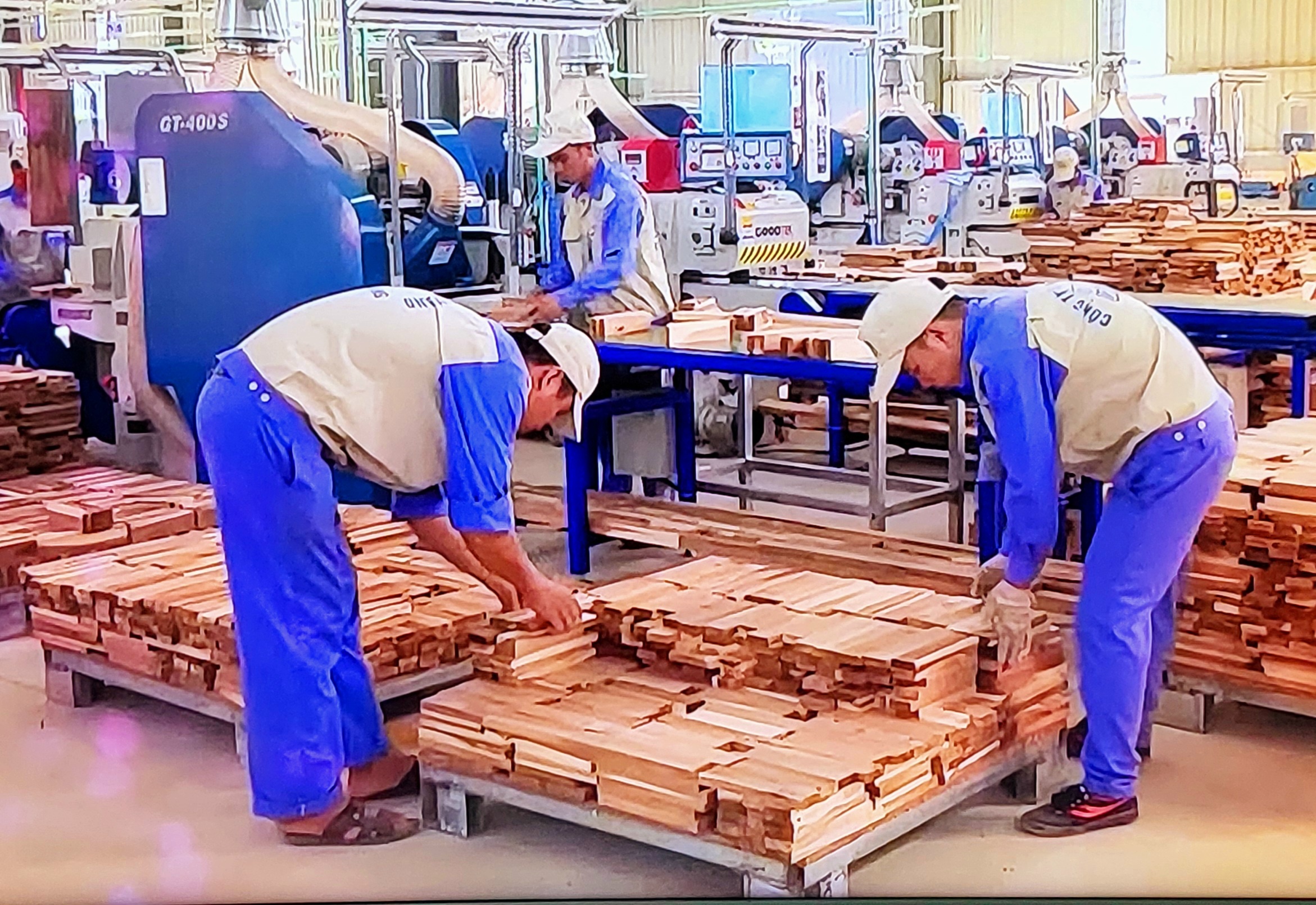 Việt Nam tiêu thụ gần 50 triệu m³ gỗ nguyên liệu, nhưng phần lớn vẫn đến từ rừng trồng nhỏ lẻ và nhập khẩu