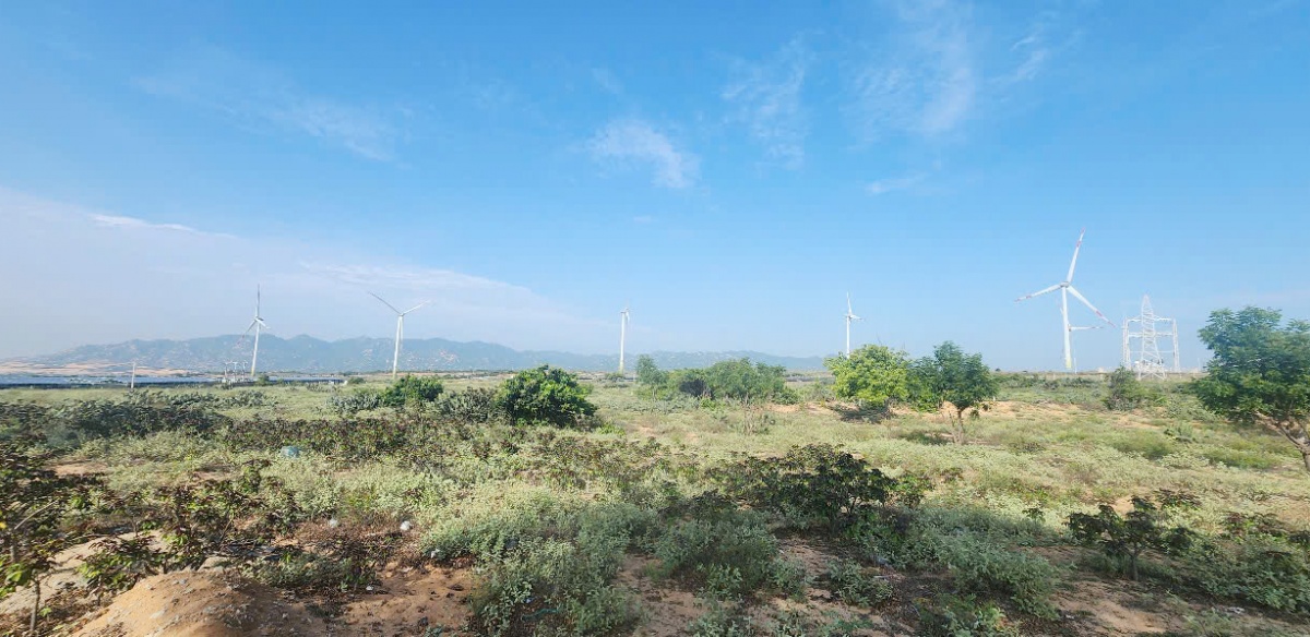 Với đặc thù là một tỉnh ven biển miền Trung, có số giờ nắng và tốc độ gió lớn so với cả nước, Ninh Thuận đang được xem là địa phương có nhiều lợi thế để phát triển ngành công nghiệp năng lượng, nhất là năng lượng mặt trời và năng lượng điện gió…