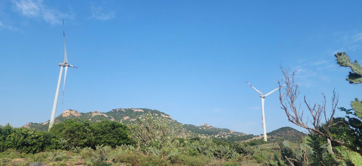 Những tua bin, được xây dựng giữa những cánh đồng xanh mát, phía xa xa là đồi núi chập chùng của vùng đất Ninh Thuận, tất cả như tạo nên một bức tranh vô cùng đẹp.