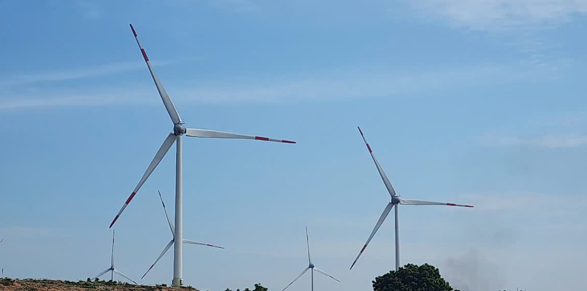 Cánh đồng điện gió ở xã Phước Dinh, huyện Thuận Nam đã chính thức được đưa vào sử dụng và hòa cùng với mạng lưới điện quốc gia. 