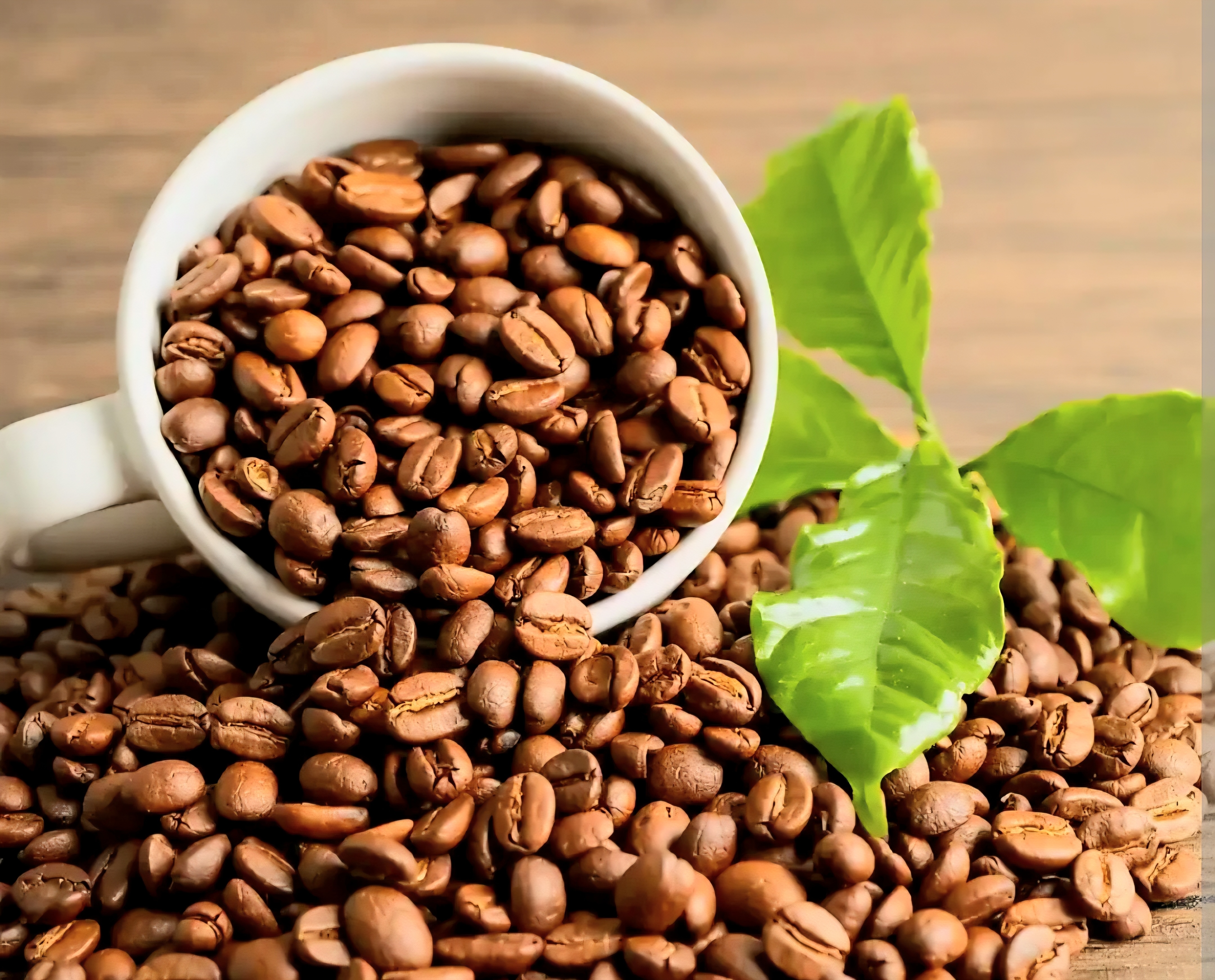 Doanh nghiệp Việt cần tập trung chế biến sâu Doanh nghiệp Việt cần tập trung chế biến sâu