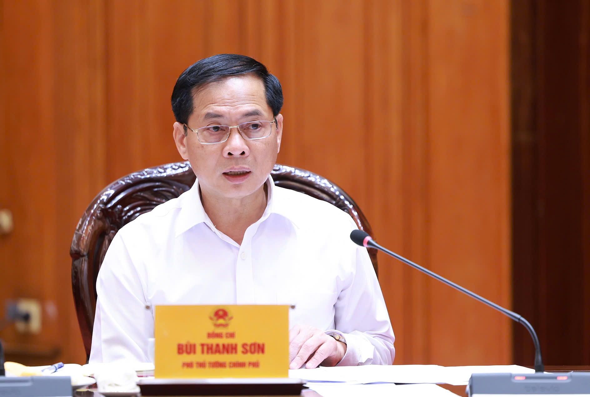 Phó Thủ tướng, Bộ trưởng Bộ Ngoại giao Bùi Thanh Sơn phát biểu tại phiên họp - Ảnh: VGP/Nhật Bắc