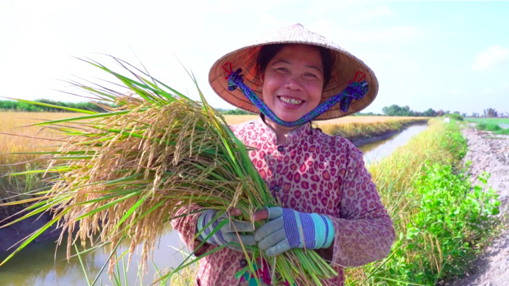 Việt Nam - Nhật Bản hợp tác thúc đẩy các dự án nông nghiệp carbon thấp Việt Nam - Nhật Bản hợp tác thúc đẩy các dự án nông nghiệp carbon thấp