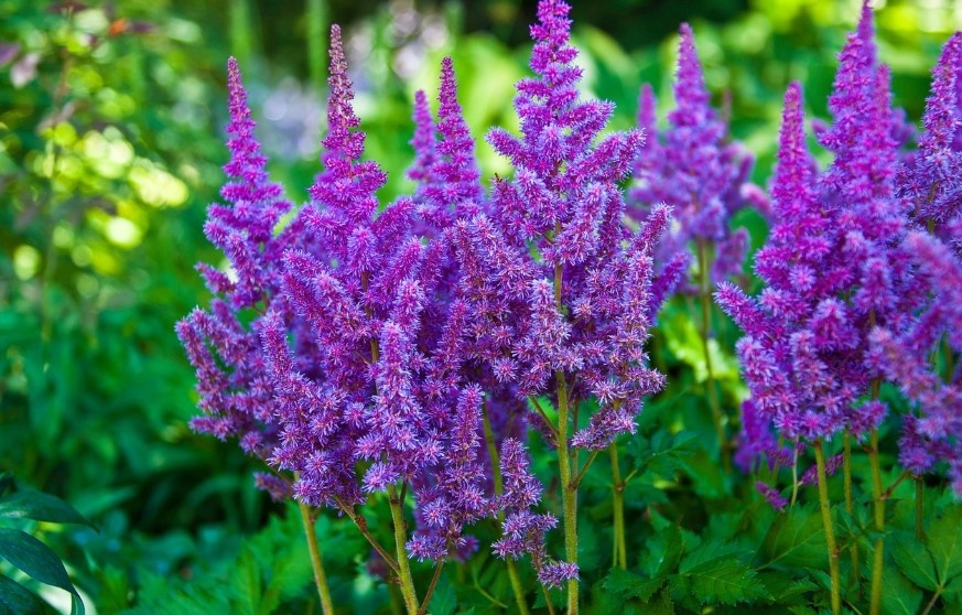 Bí quyết đơn giản cho trí tuệ sắc bén ở mọi lứa tuổi