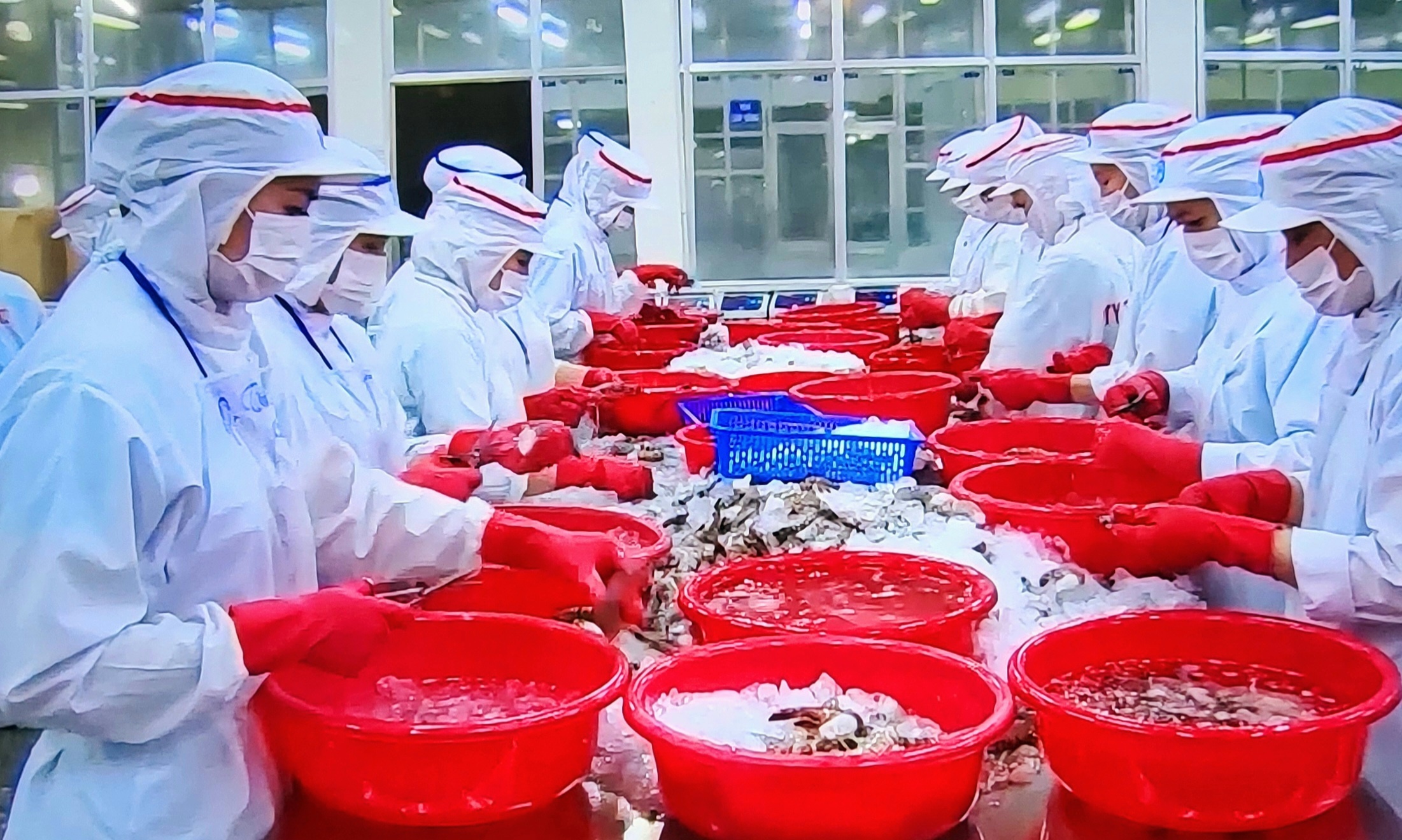 thẻ vàng IUU là lời nhắc nhở mạnh mẽ về việc minh bạch hóa chuỗi cung ứng