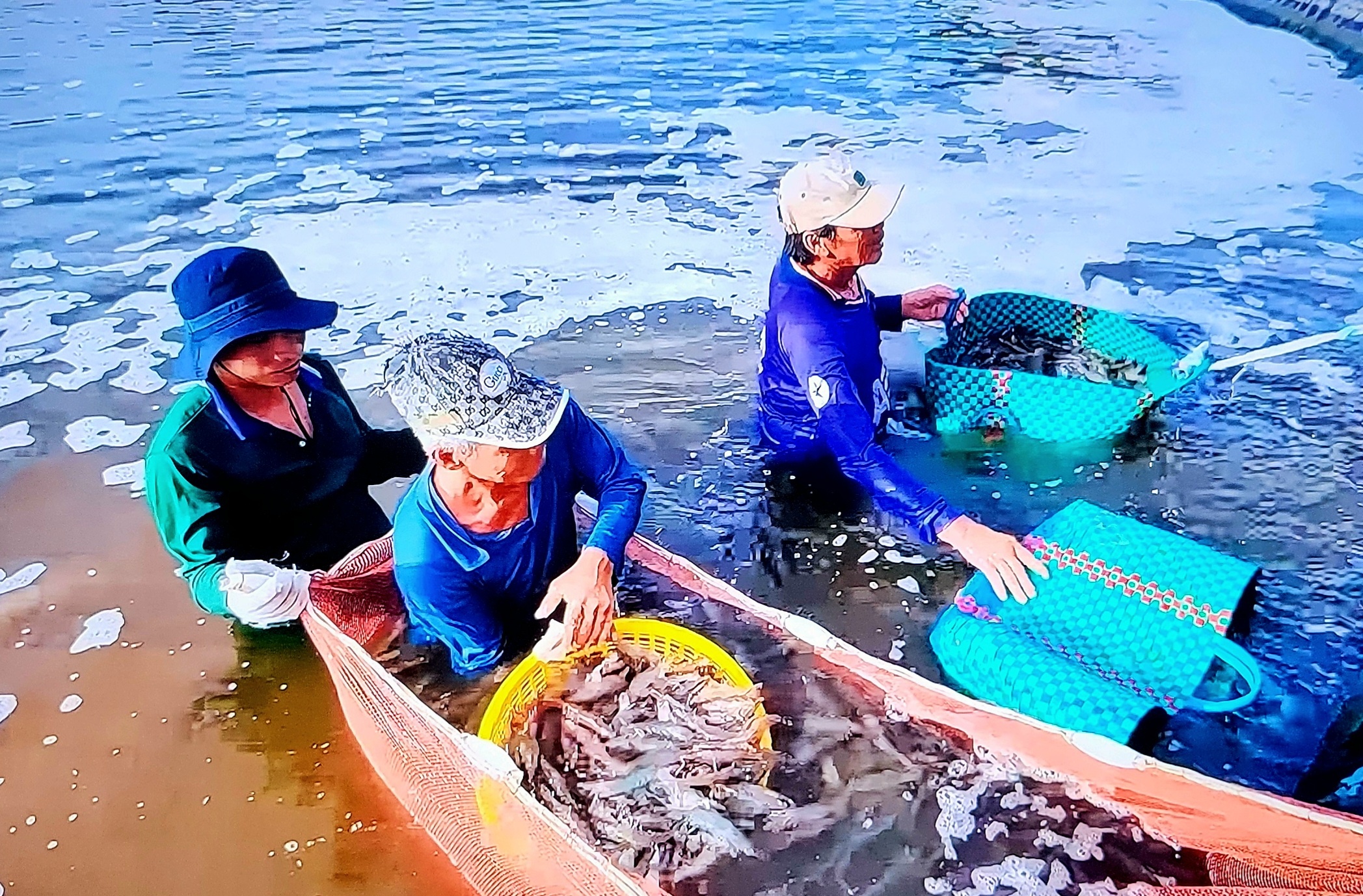 khách hàng quốc tế đã đưa ra yêu cầu cụ thể về tiêu chuẩn xanh và chứng chỉ môi trường
