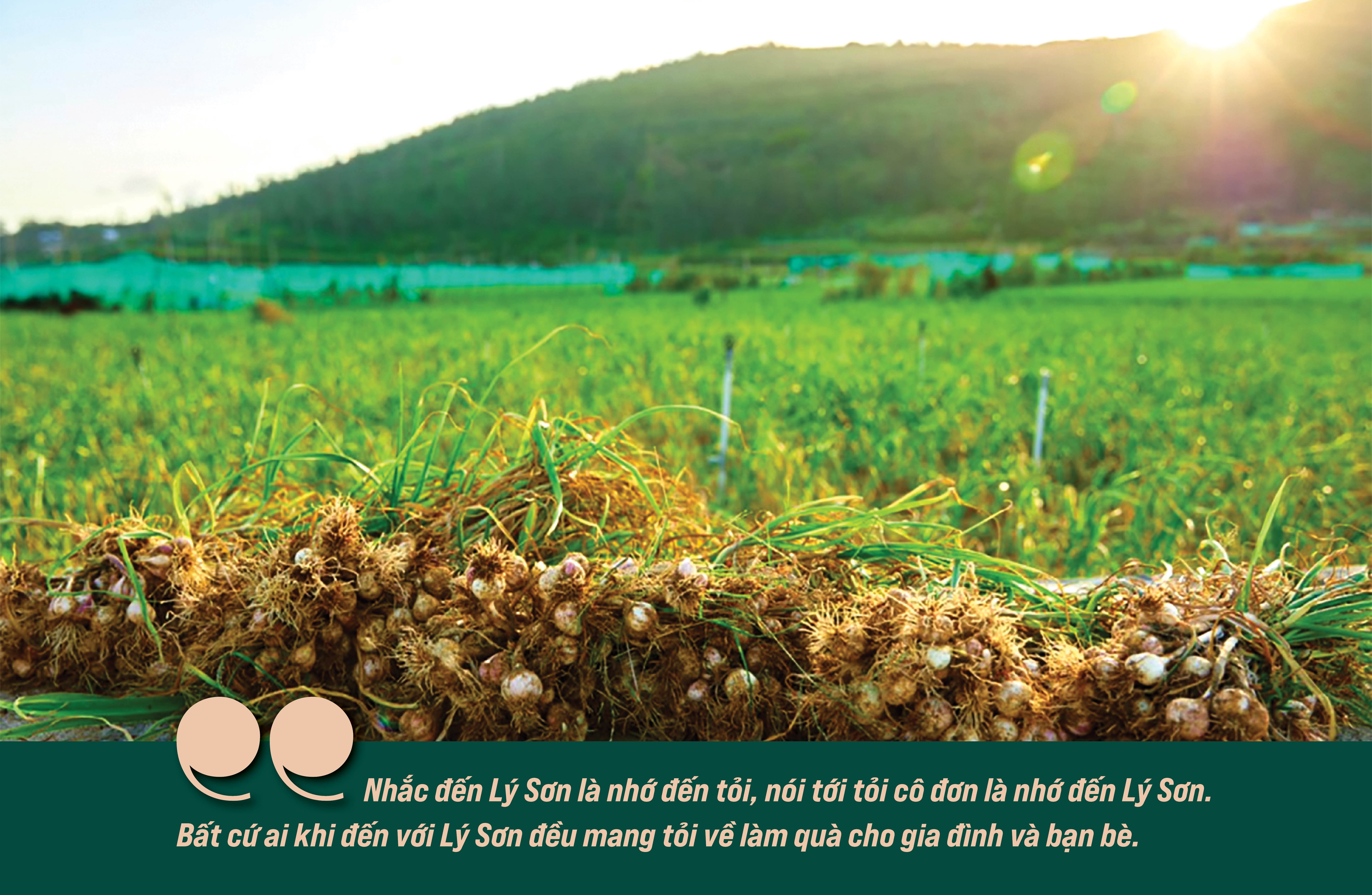 Viết tiếp khúc hùng ca của lịch sử trước khó khăn