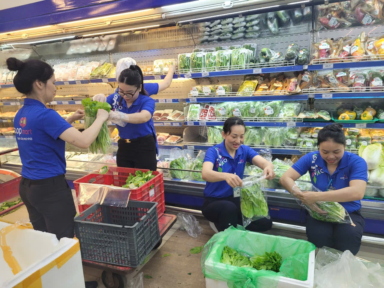 Co.opmart khu vực miền Bắc chủ động ứng phó bão Wipha