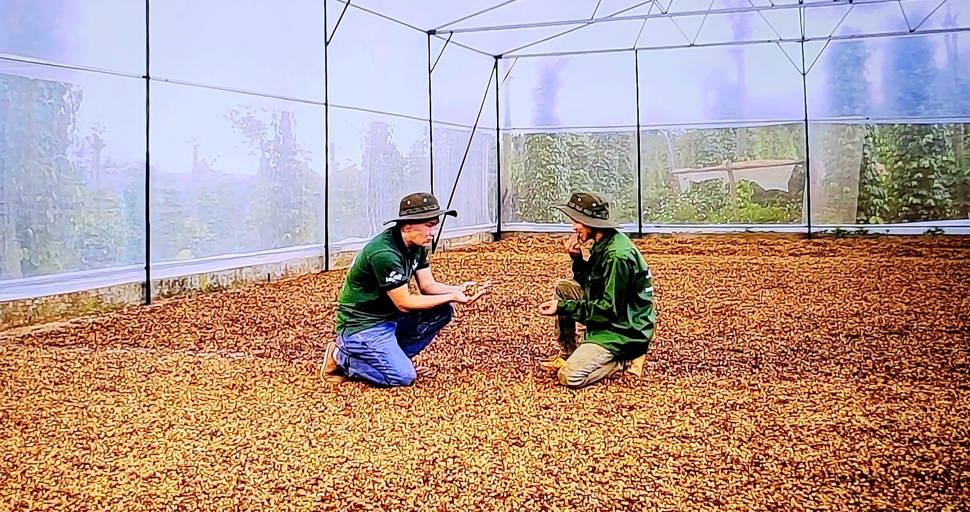 Giá xuất khẩu cà phê bình quân đạt 5.708 USD/tấn, tăng gần 60% so với cùng kỳ 