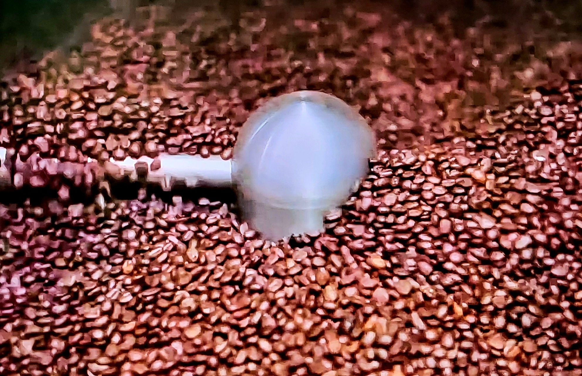 sự thay đổi tư duy của doanh nghiệp và nông dân