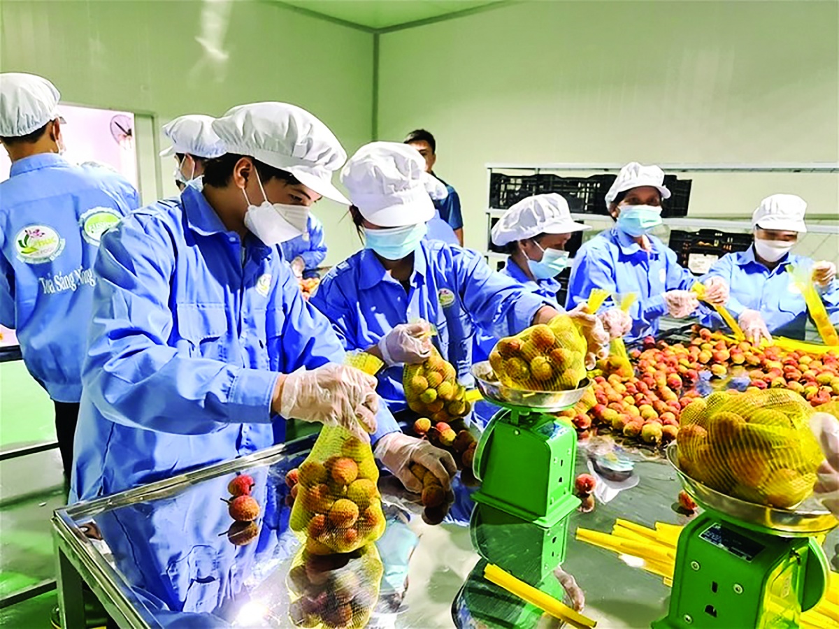 Doanh nghiệp Việt đang định hình “chất riêng” trên hành trình ESG với những đặc trưng của từng ngành