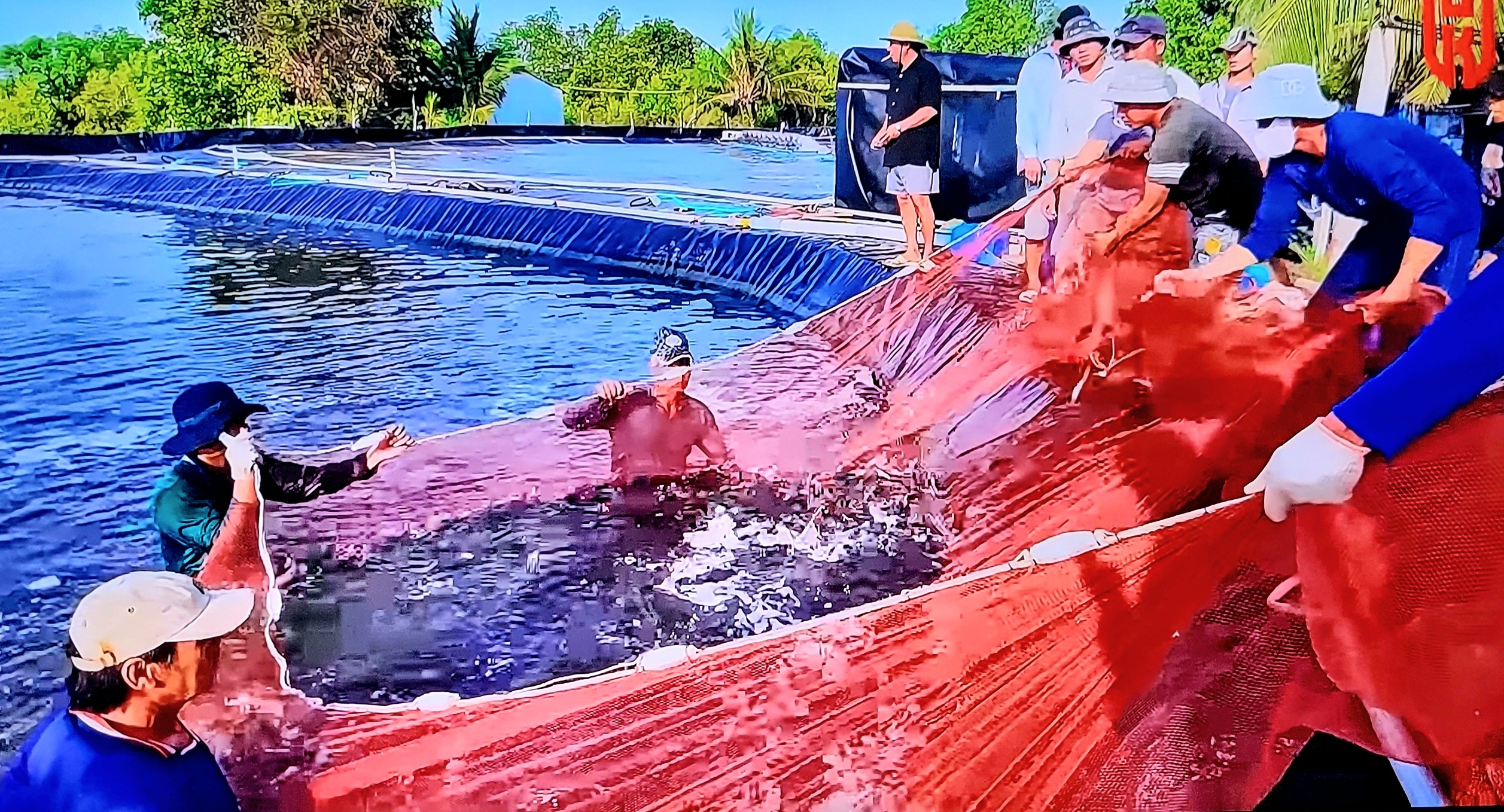 nguồn nuôi trồng trên bờ có thể truy xuất được nguồn nuôi trồng trên bờ có thể truy xuất được