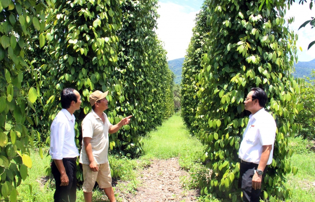 Agribank chi nhánh Đắk Lắk đổi mới và bứt phá trong hoạt động kinh doanh