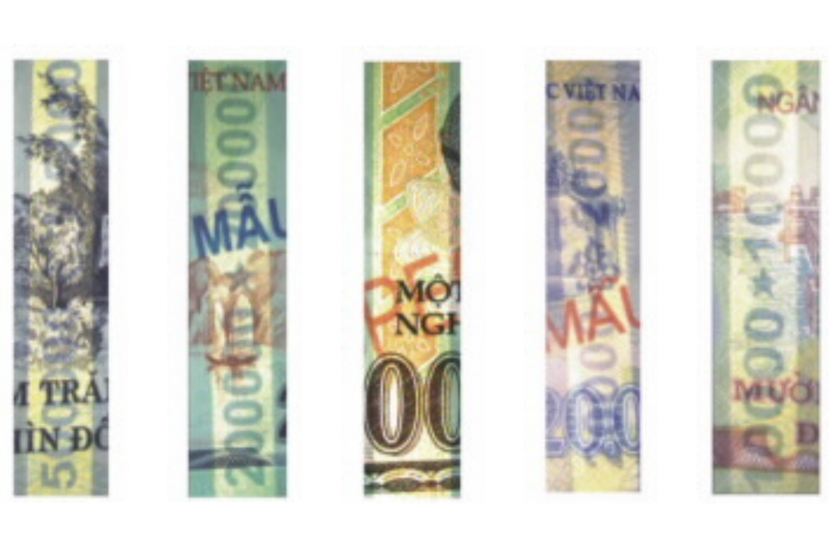 Đặc điểm nào xuất hiện khi chao nghiêng tờ tiền? – Đáp án có trong “Đấu trí tài chính” tuần 12