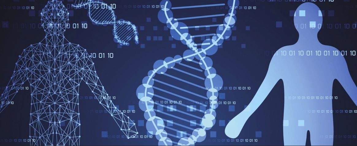 Israel phát triển “bản sao kỹ thuật số” từng cá nhân giúp dự đoán và phòng bệnh Israel phát triển “bản sao kỹ thuật số” từng cá nhân giúp dự đoán và phòng bệnh
