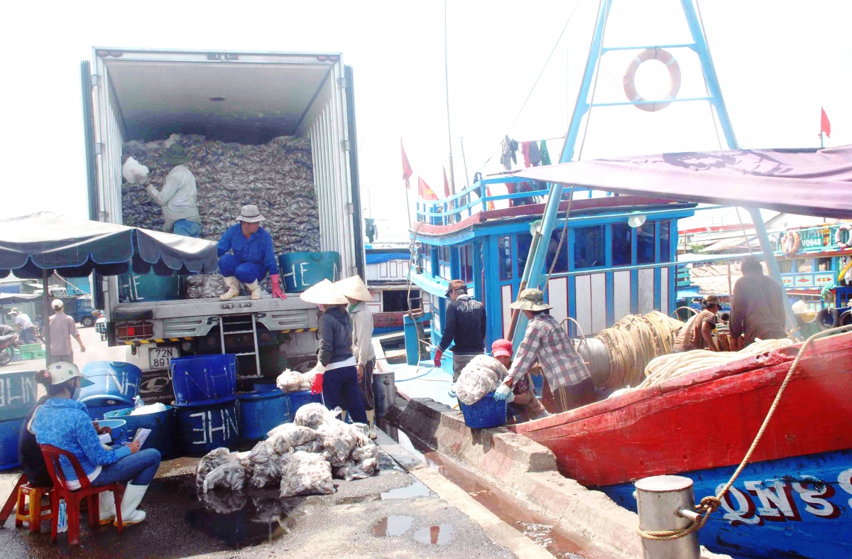 Đà Nẵng hướng tới phát triển ngành thủy sản bền vững