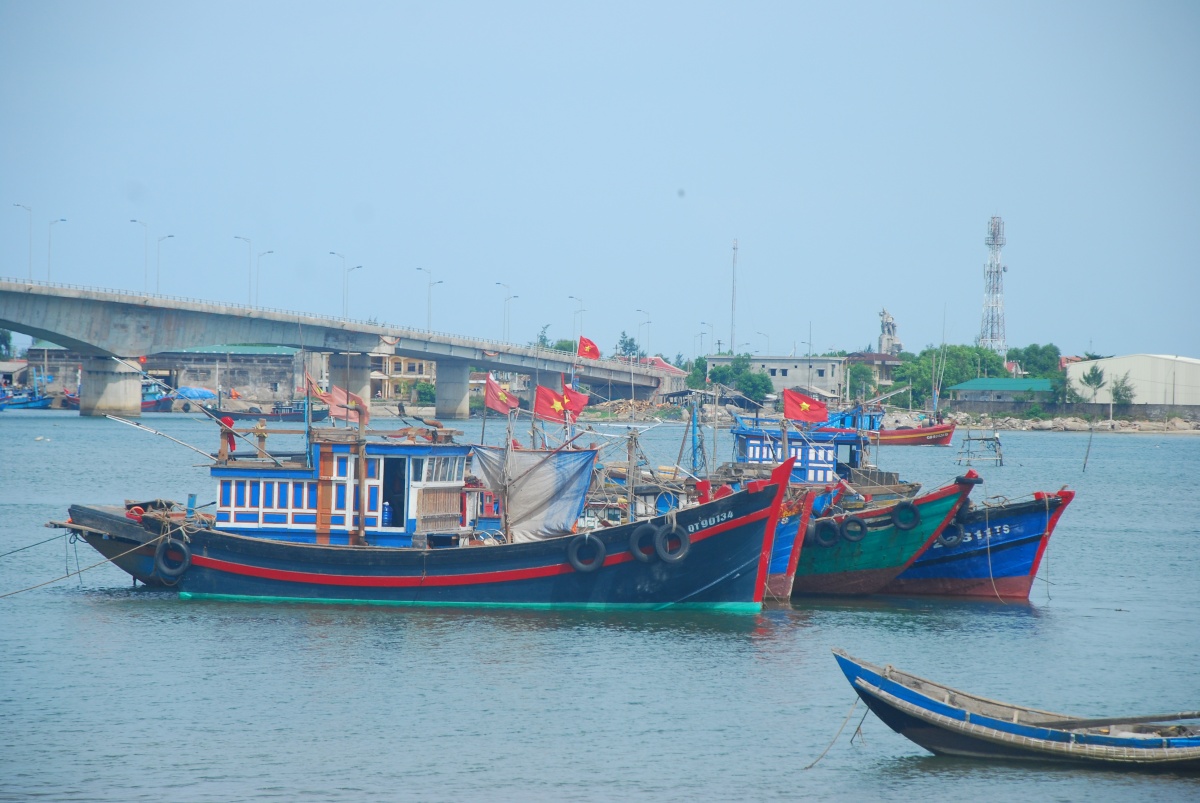 Đà Nẵng hướng tới phát triển ngành thủy sản bền vững