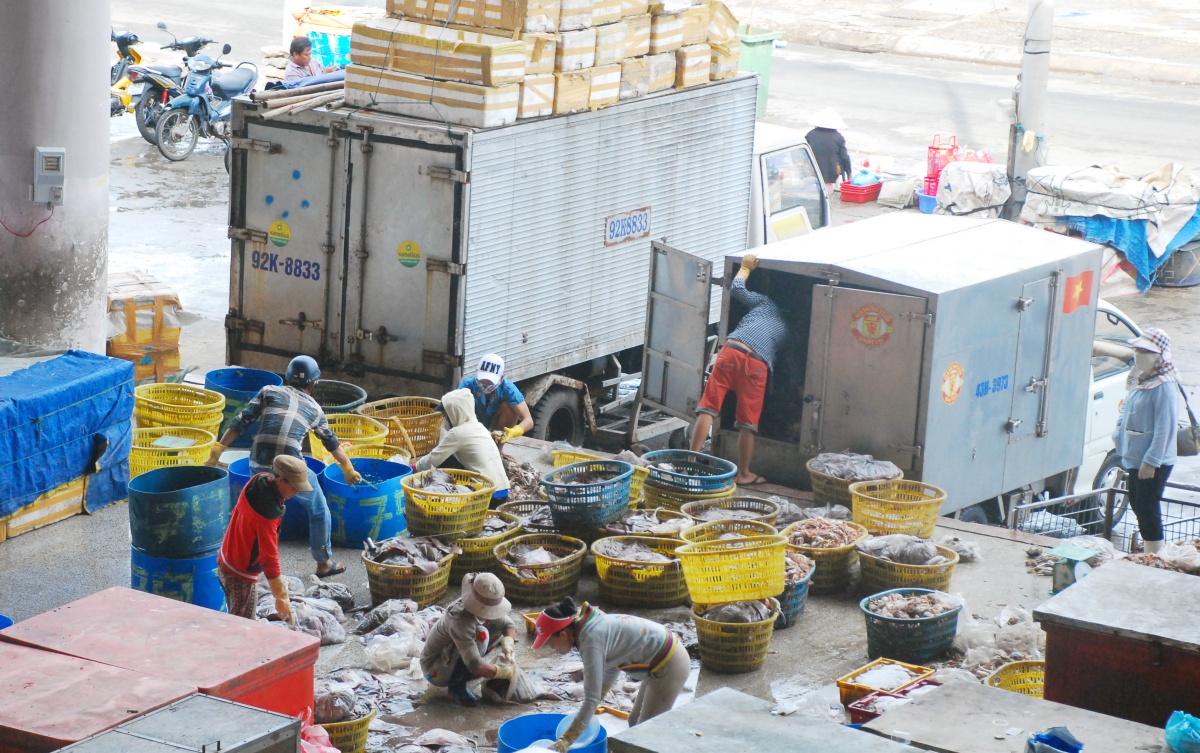 Đà Nẵng hướng tới phát triển ngành thủy sản bền vững