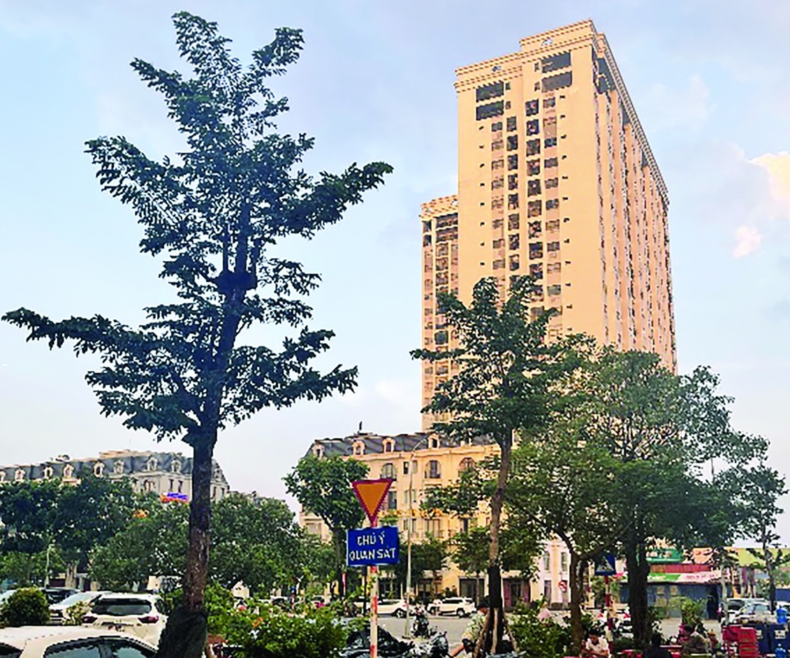 Nghịch lý thị trường căn hộ chung cư